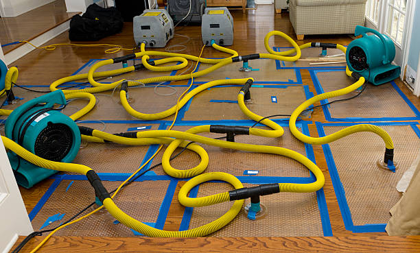 Professional Flood Damage Restoration technician working in Potomac, MD